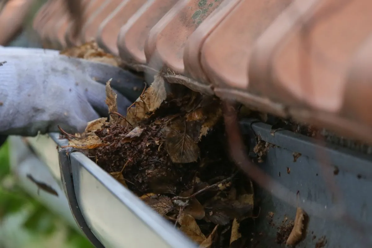 Gutters Getting Cleared And Cleaned By Professional Roof Cleaner